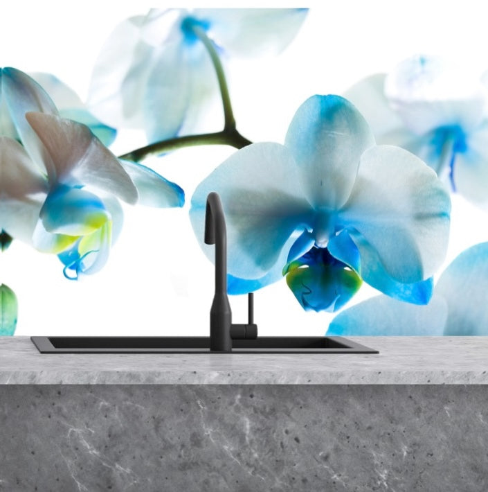 Sticla vopsita bucatarie placari #1851