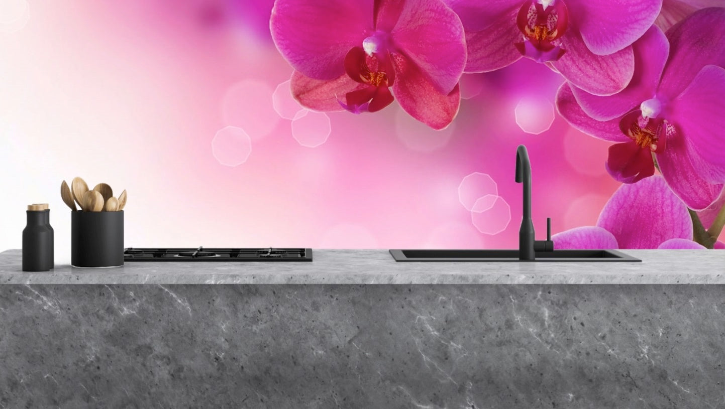 Sticla vopsita bucatarie placari #1854