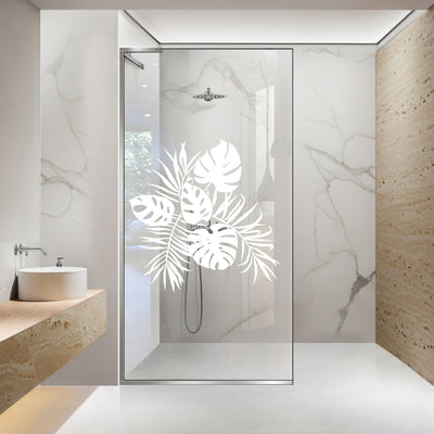 Paravan dus Walk-in, Perete dus Inox, #Clara #Víztiszta