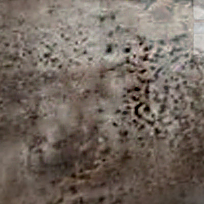 Sticla printata bucatarie placari